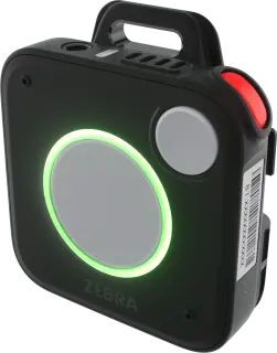 Zebra WS101 - icon - kodys